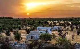 Casa Barzò - surrounded by olive trees